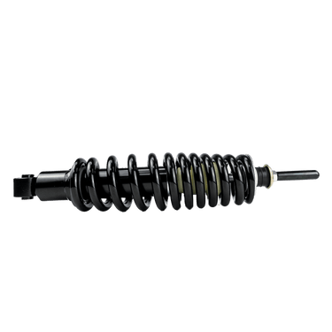 Rear Shock Absorber Assy A1S 2020