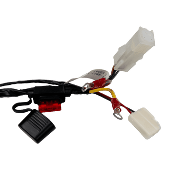 A617.2 wiring harness 2022 - 617/627 A617.2 Wiring harness 1234e