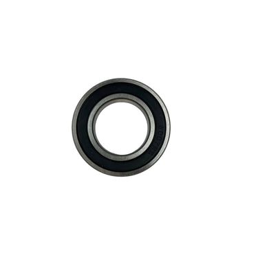 6007 Bearing